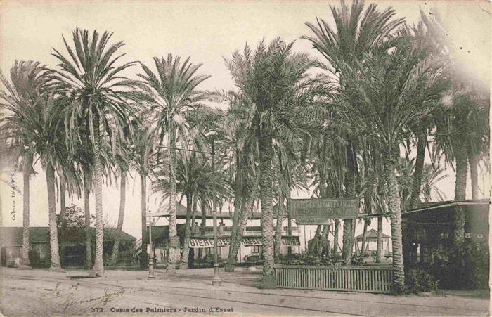 ALGER Algerie Jardin-d Essai Oasis-des-Palmiers Palmen Botanischer-Garten Bierg