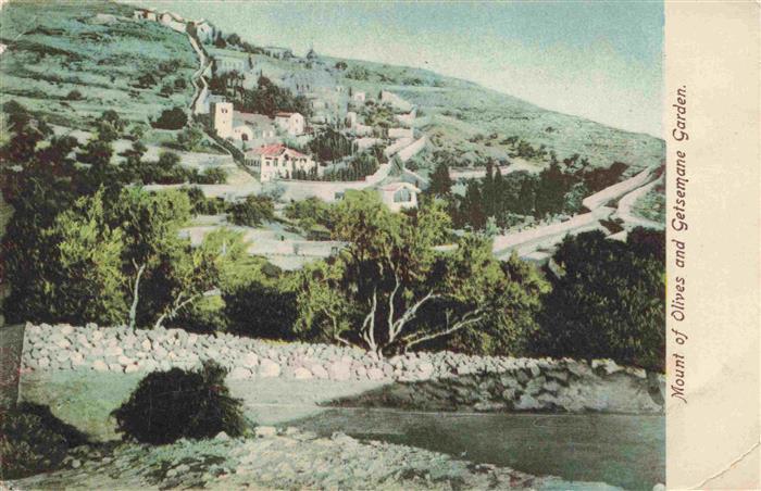 Getsemane Getsemani oelberg Jerusalem Yerushalayim Israel Mount of Olives and Ge