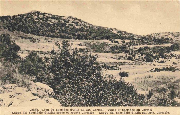 Caiffa Mont Carmel Mount Carmel Israel Place of Sacrifice on Carmel
