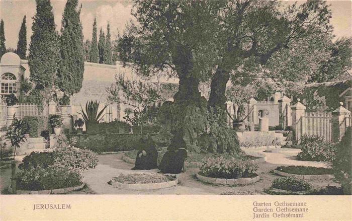 Jerusalem  Yerushalayim Israel Garten Gethsemane