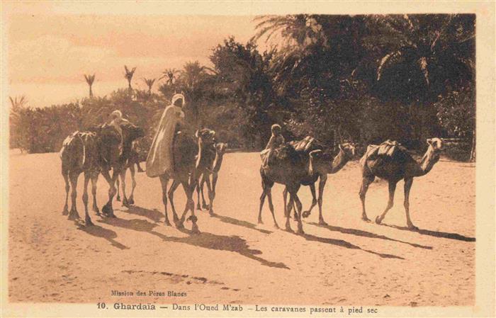 Ghardaia Algeria Dans l'Oued M'zab Caravanes passant à pied sec