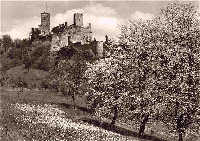 Roetteln Roettelweiler Loerrach Roettler Schloss Baumbluete