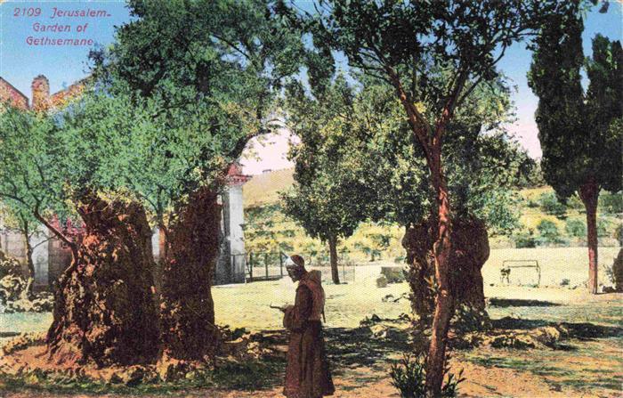 Jerusalem  Yerushalayim Israel Garden of Gethsemane