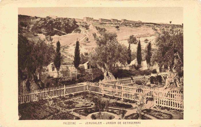 Jerusalem  Yerushalayim Israel Jardin de Gethsemane