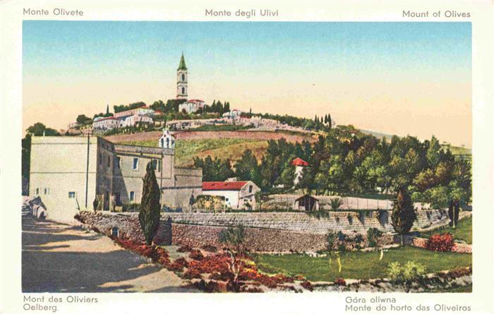 Jerusalem  Yerushalayim Israel Mont des Oliviers