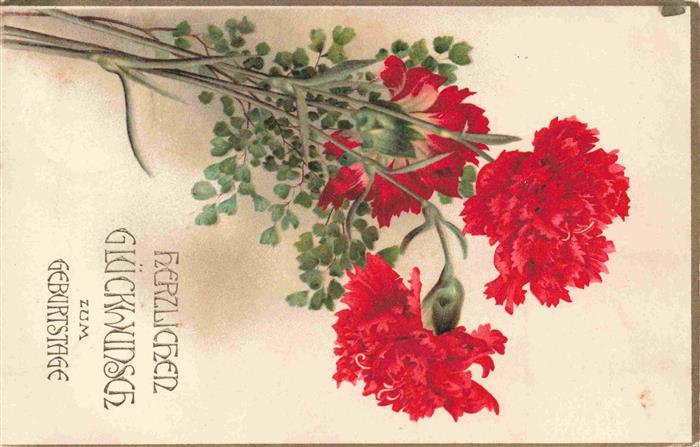 Nelken Carnations Oeillets Claveles Garofani-- rot