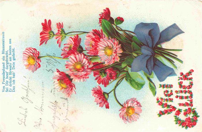 Gerbera-- rote