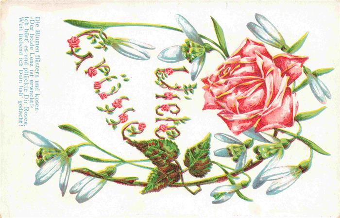 Rosen Roses Rosas-- Rot Schneglocken