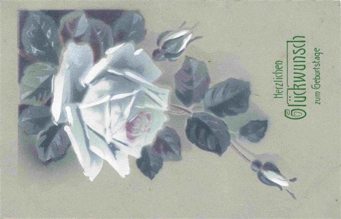 Rosen Roses Rosas-- Weiss