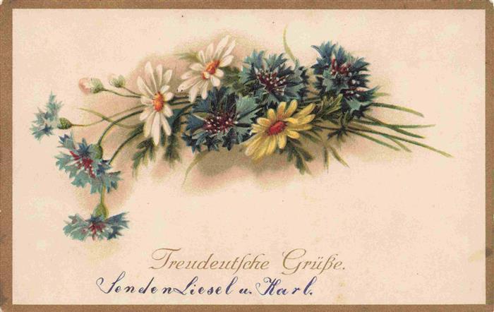 Margeriten Daisies Marguerites Margaritas Margherite-- Gruesse