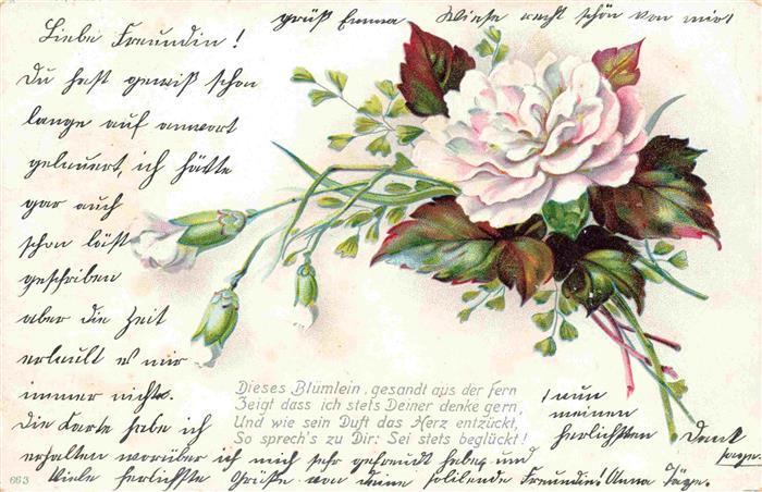 Blumen Flowers Fleurs Litho