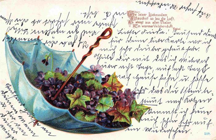 Veilchen Violette Violet Violetta-- Litho Regenschirm