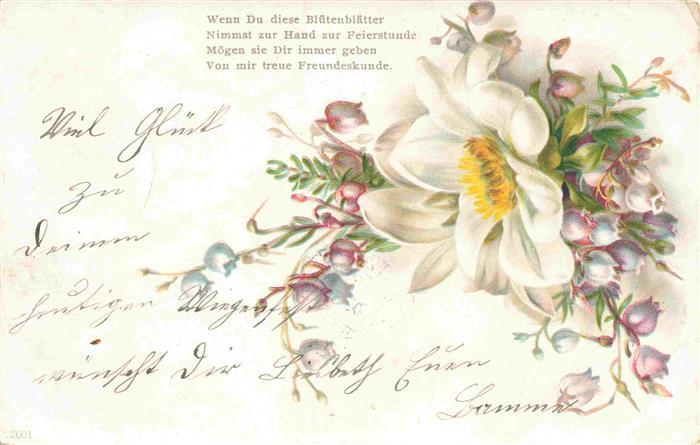 Blumen Flowers Fleurs Litho