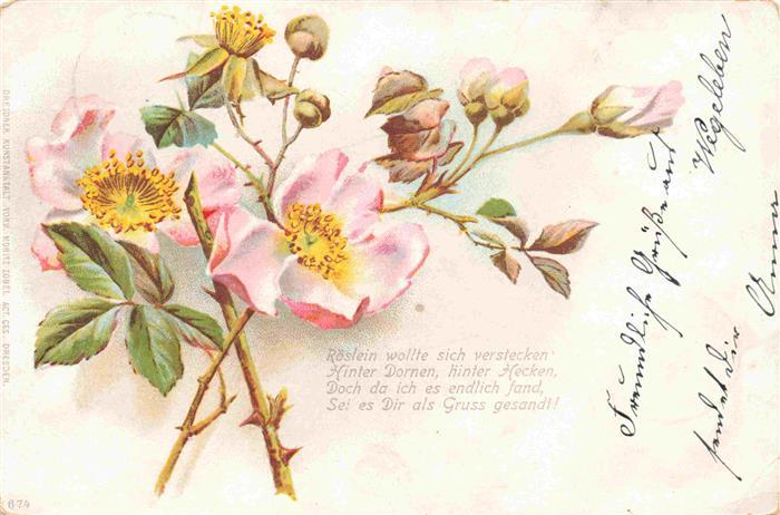 Blumen Flowers Fleurs Litho Rosen