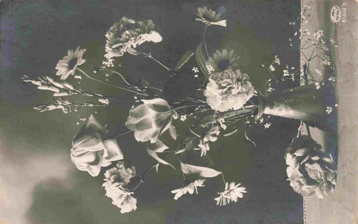 Blumen Flowers Fleurs Rosen Nelke Straus