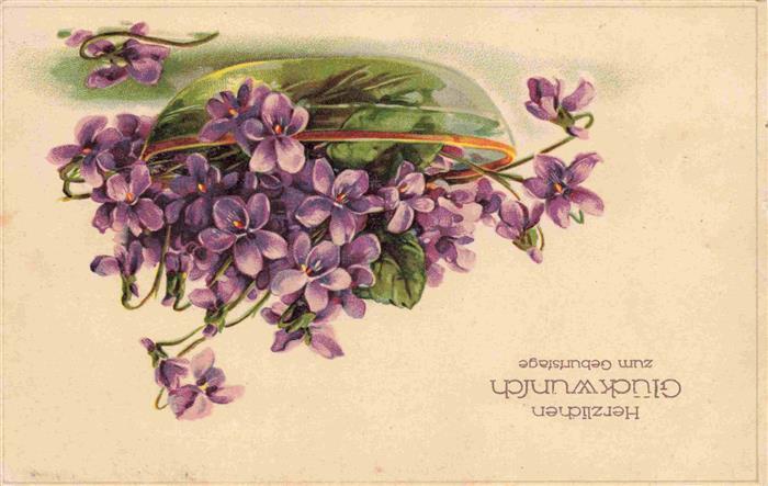 Veilchen Violette Violet Violetta-- Geburtstag
