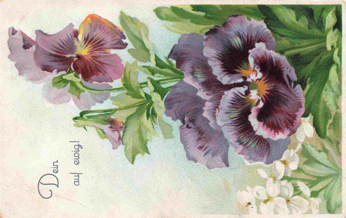 Veilchen Violette Violet Violetta-- Litho