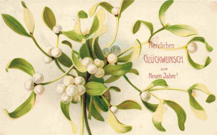 Neujahr Annee New Year Maigloeckchen Litho