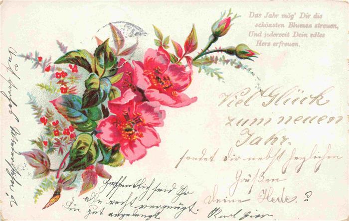 Rosen Roses Rosas-- Rot