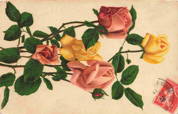Rosen Roses Rosas-- Rosa Gelb