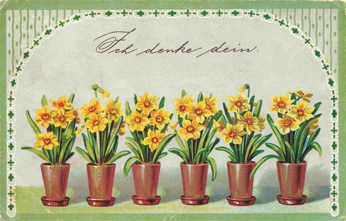 Osterglocken Daffodils Jonquilles Campanillas-- Ich denke Dein S.V.D. Nr. 3565/1