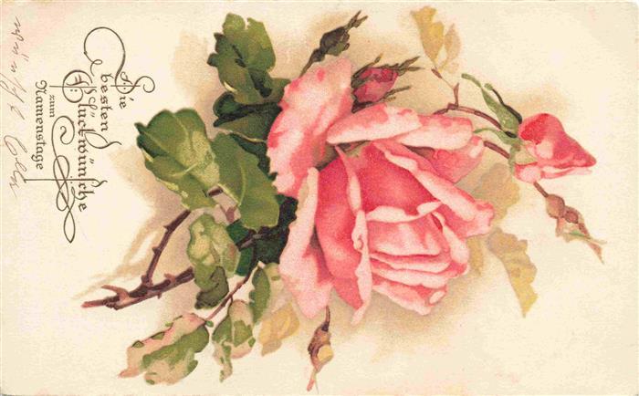Rosen Roses Rosas-- Rosa Glueckwunsch Namentag
