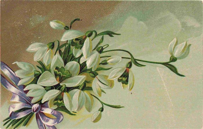 Maigloeckchen Lily of the Valley Muguet Mughetto-- Weiss Bkuemen