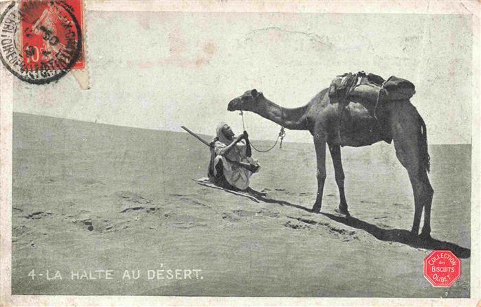 Kamele  Camel Chameau-- La Halte au Desert Mann Wueste
