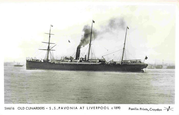 Dampfer Oceanliner SM616 Old Cunarders S.S.Pavonia at Liverpool
