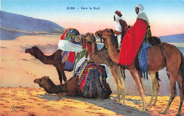 Kamele  Camel Chameau-- Vers le Sud