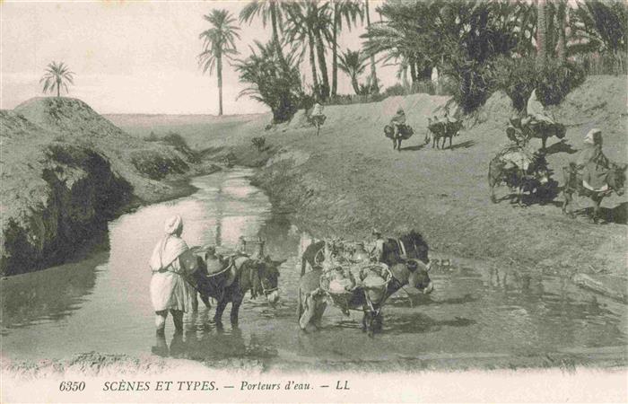 Esel Tiere Scenes et Types Porteurs d eau
