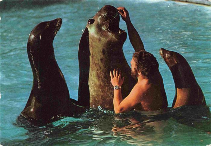 Zoo Gardin Zoologique-- Stuttgart Bad Cannstatt Wilhelma Seeloewe See Elefant