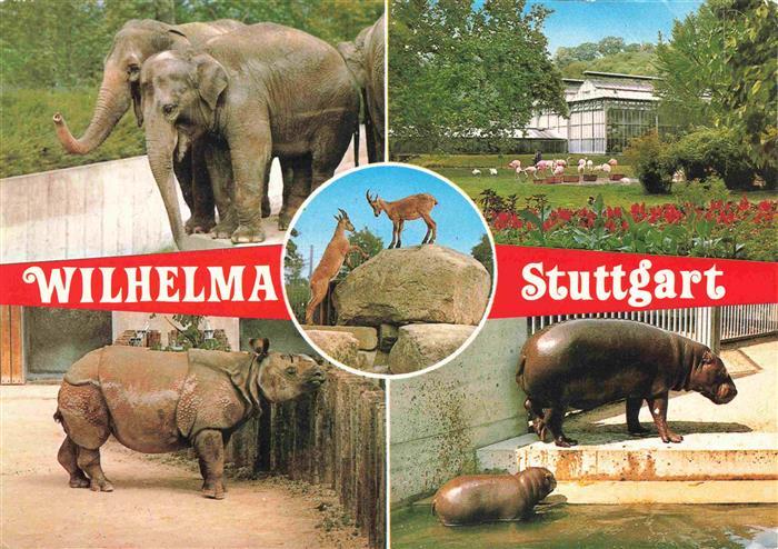 Zoo Gardin Zoologique-- Wilhelma Stuttgart Elefant Berg Ziege Nielpferd Flamingo