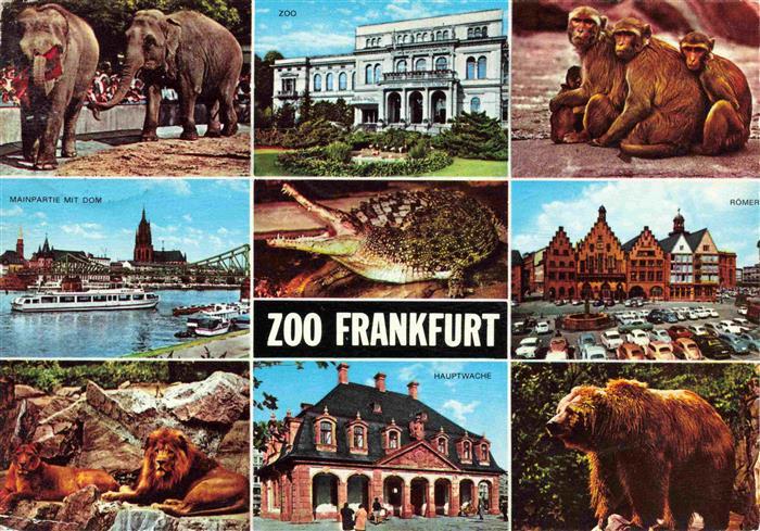 Zoo Gardin Zoologique-- Frankfurt  Elefant Baer Affen Loewe