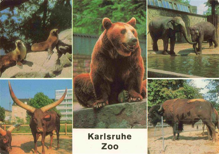 Zoo Gardin Zoologique-- Seeloewe Watussi-Rinder Braunbaer Elefasnten Bison