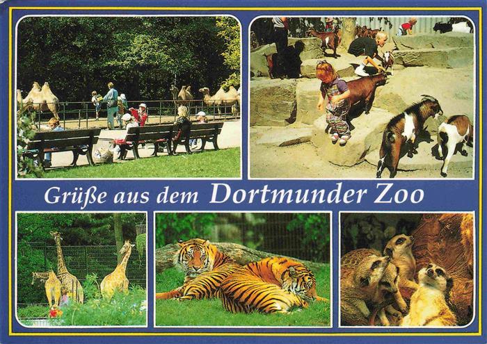 Zoo Gardin Zoologique-- Dortmunder Tieger Elefant Kamel Ziegen