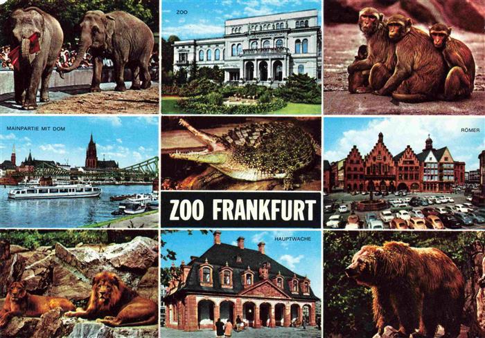 Zoo Gardin Zoologique-- Frankfurt Elefant Affe Baer Loewe