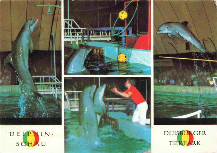 Zoo Gardin Zoologique-- Duisburger Delphin Schau