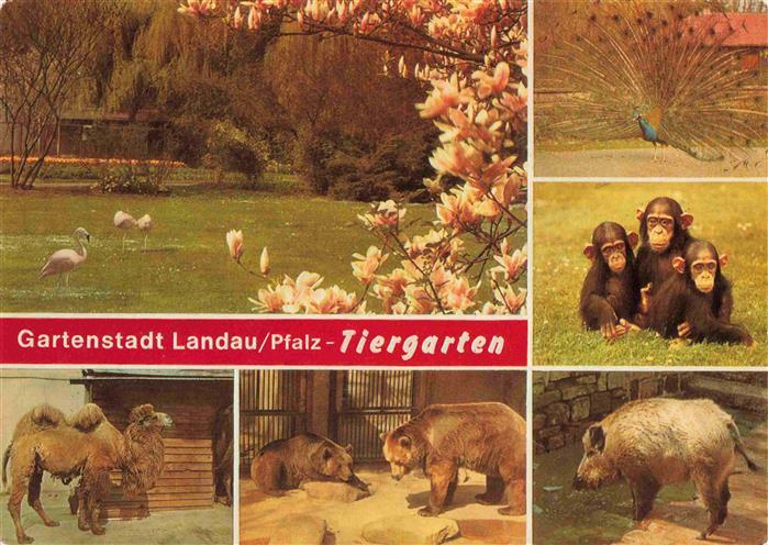 Zoo Gardin Zoologique-- Landau Pfalz Affen Baer Kammel Flamingo