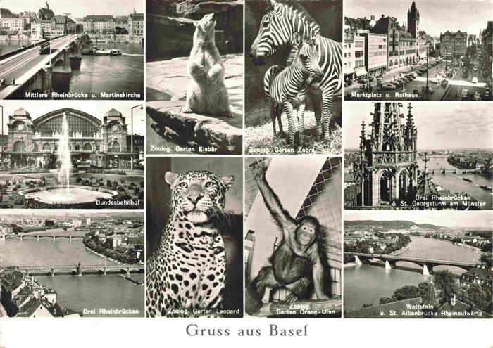 Zoo Gardin Zoologique-- Basel Orang Utan Zebra Eisbaer Leopard Bundesbahnhof Rat
