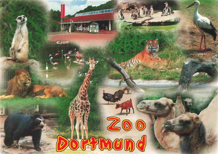 Zoo Gardin Zoologique-- Dortmund Erdmenchen Tieger Storch Baer Loewe Giraffe Kam