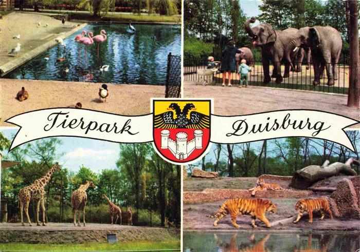 Zoo Gardin Zoologique-- Duisburg Tieger Giraffe Elefant Flamingos