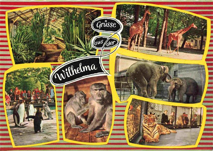 Zoo Gardin Zoologique-- Wilhelma Giraffe Tieger Affen Elefanten Stuttgart