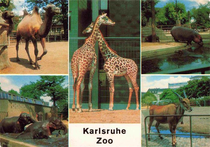 Zoo Gardin Zoologique-- Karlsruhe Kamel Elefant Giraffe Flusspferd Elenantilope