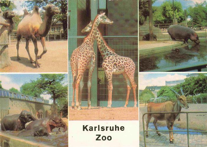 Zoo Gardin Zoologique-- Karlsruhe Kamel Elefant Giraffe Flusspferd Elenantilope