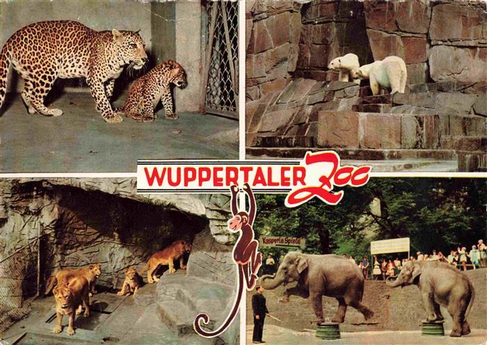 Zoo Gardin Zoologique-- Wuppertal Eisbaer Elefanten Tierer
