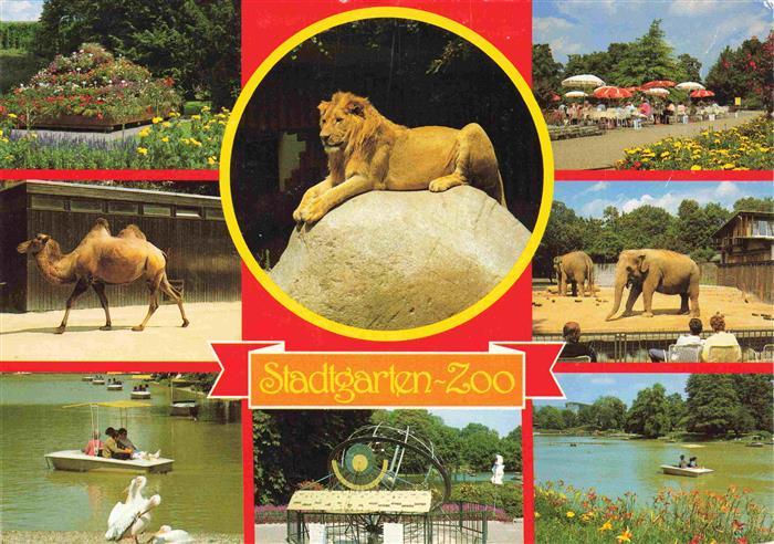 Zoo Gardin Zoologique-- Karlsruhe Stadtgarten Loewe Elefant Kamel