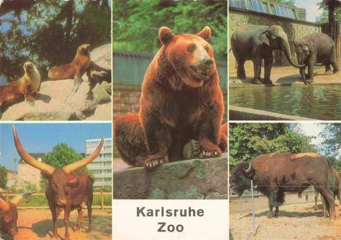 Zoo Gardin Zoologique-- Karlsruhe Seeloewen WatussiRinder Braunbaeren Elefanten