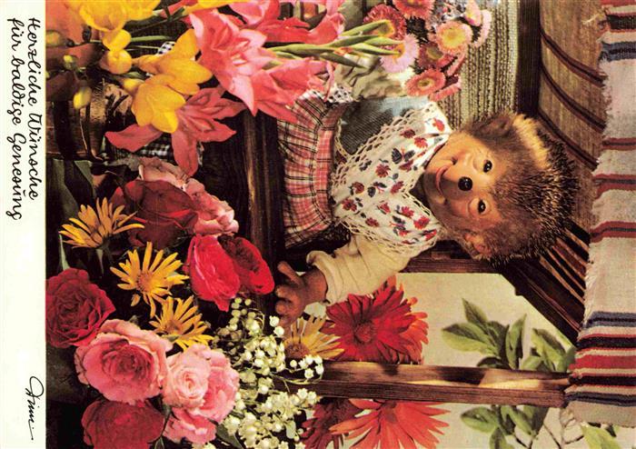 Mecki Nr. 4420 Diehl Hoer Zu Herzliche Wuensche baldige Beserung