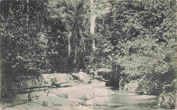 Kongo Congo Un coin de forêt le Mayumbe